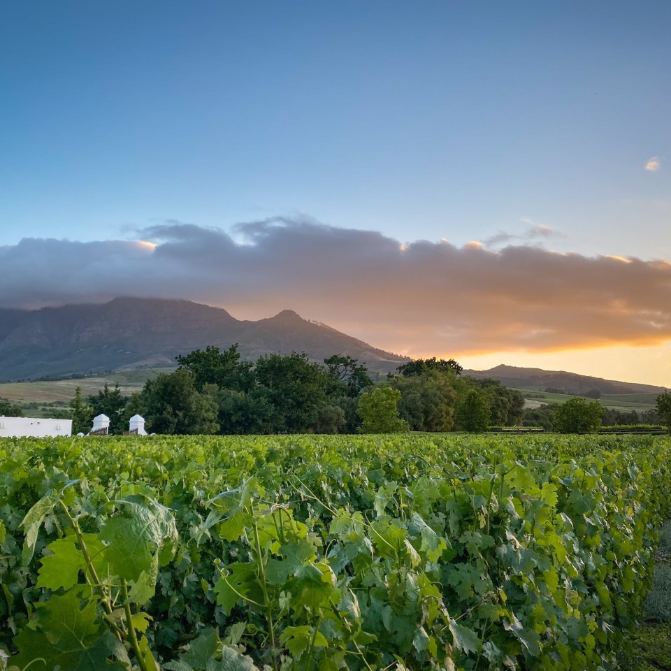 Roadtrip entlang der Garden Route